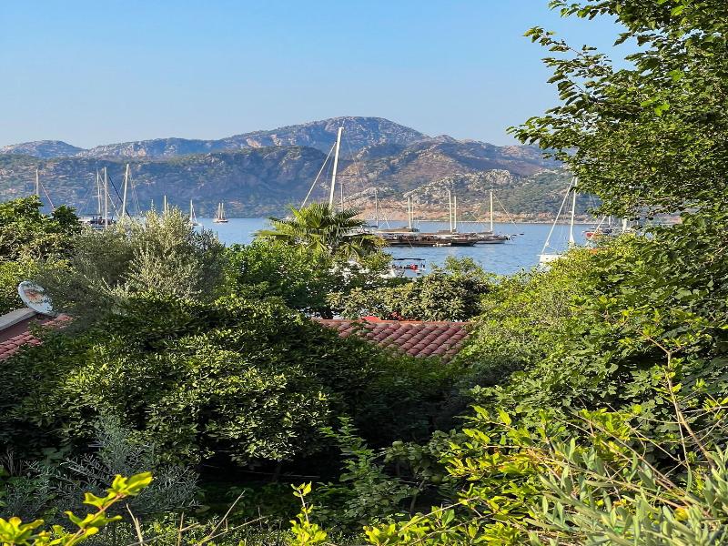 Pineloft Selimiye image