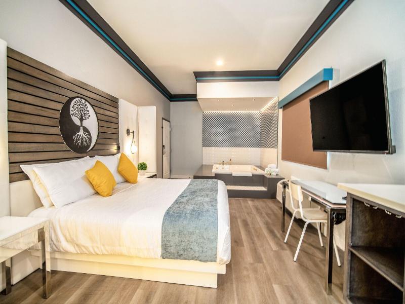 Aspire Inn Studios Spas image