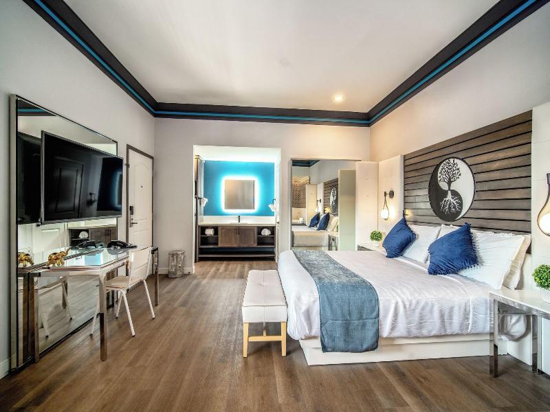 Aspire Inn Studios Spas image