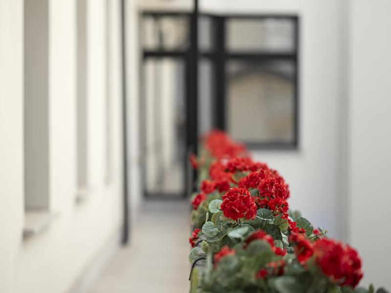 Maison 45 image