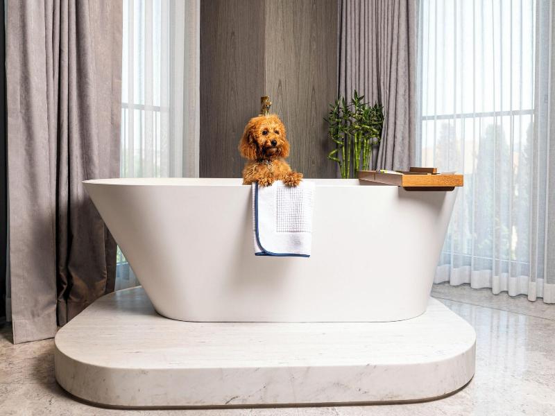 The Maestro Hotel image