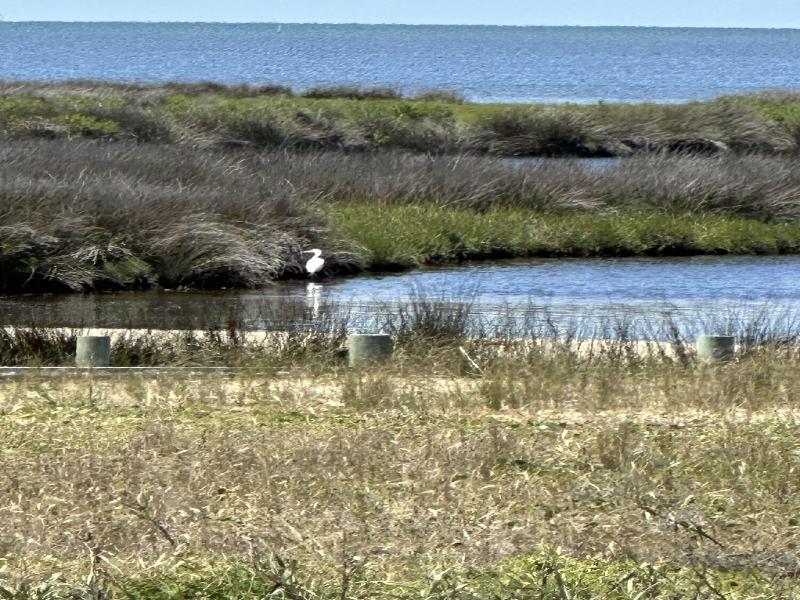 Cape Hatteras Motel