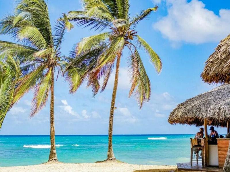 Playa Palmera Beach Resort — general view