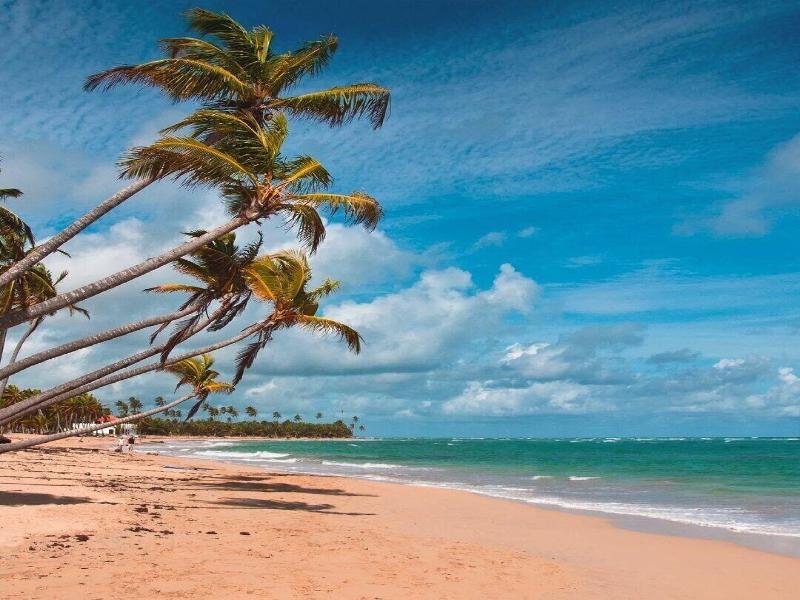 Playa Palmera Beach Resort image