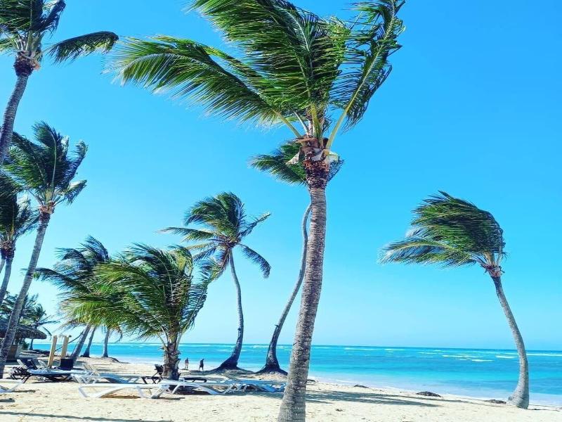 Playa Palmera Beach Resort image