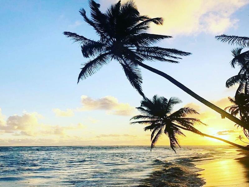 Playa Palmera Beach Resort image