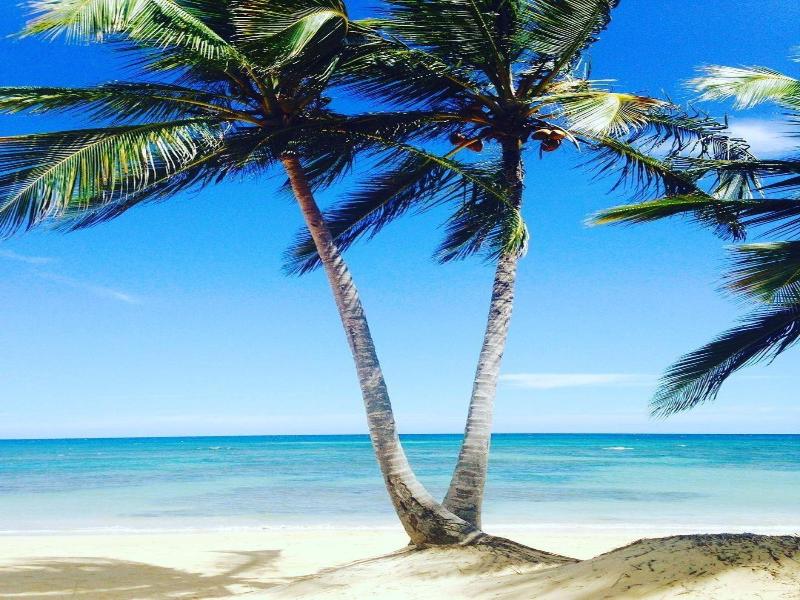 Playa Palmera Beach Resort image
