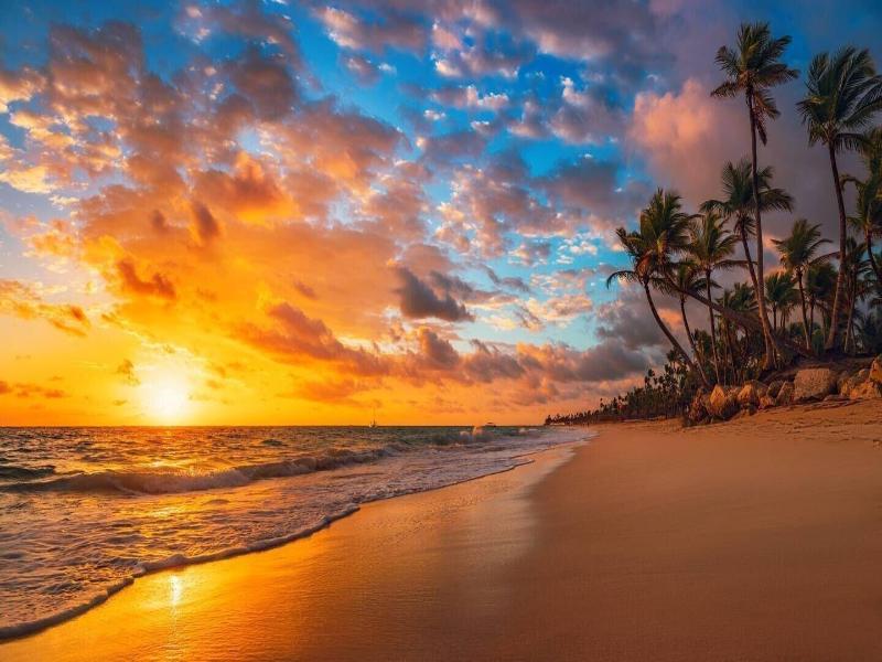 Playa Palmera Beach Resort image
