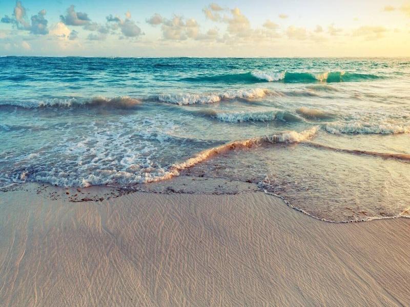 Playa Palmera Beach Resort image