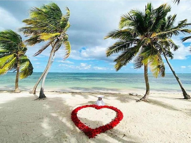 Playa Palmera Beach Resort image