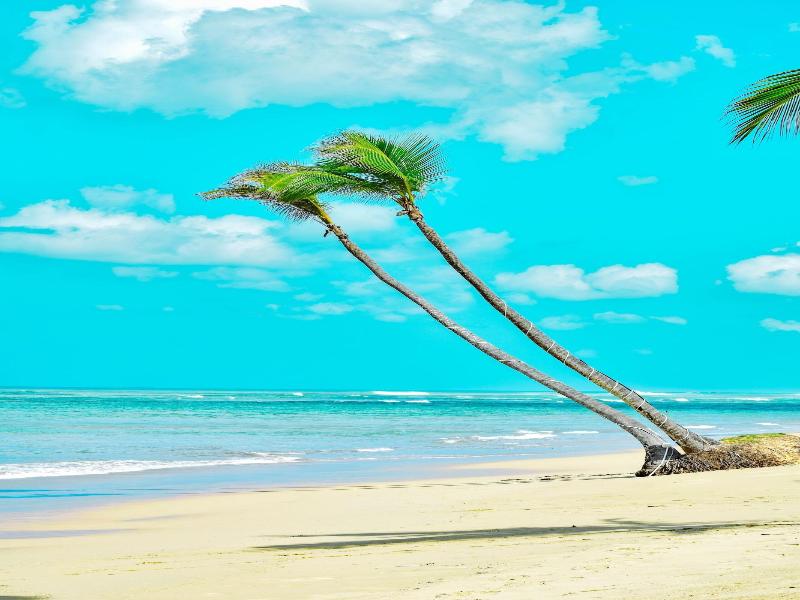 Playa Palmera Beach Resort image