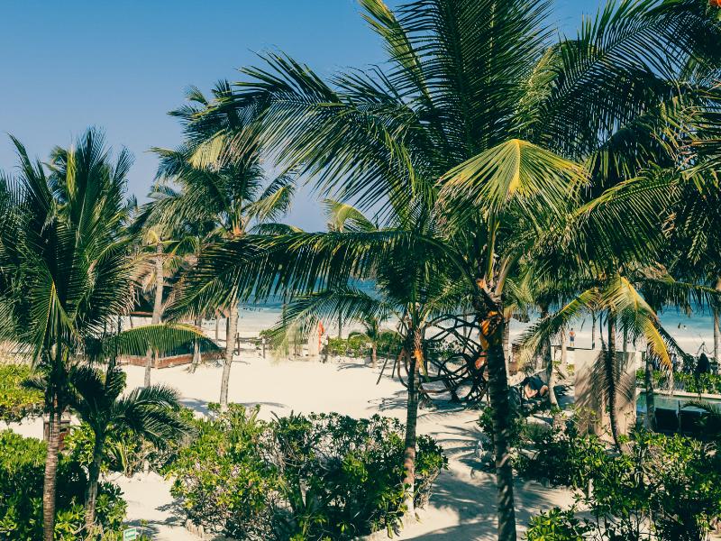 Mía Tulum Beachfront Resort image