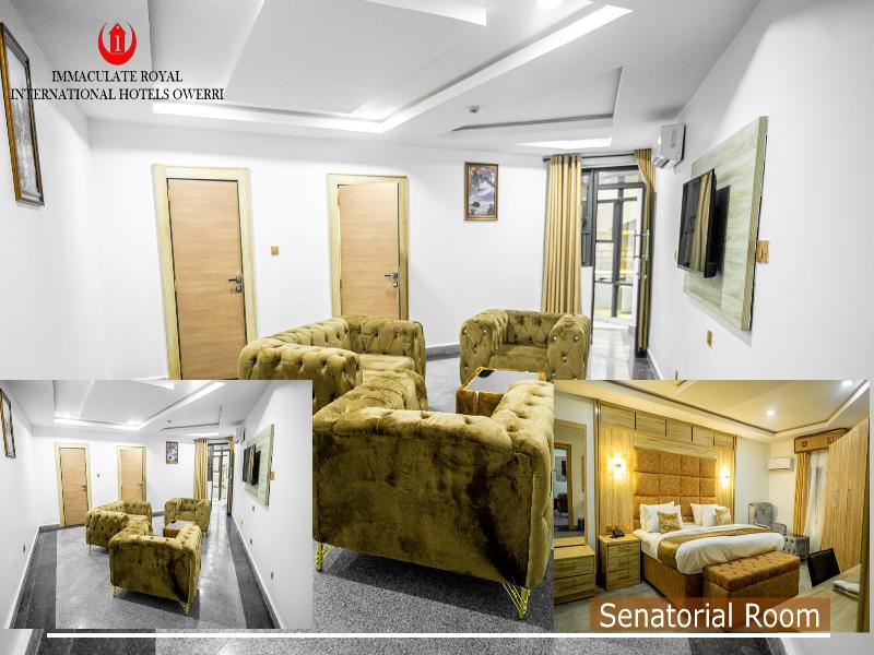Immaculate Royal International Hotel image