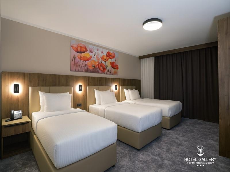Hotel Gallery Thermo Mineral & Spa image