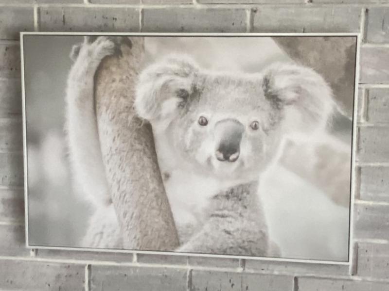 Creswick Motel image