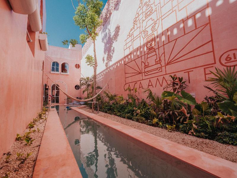Casa Amate 61 image