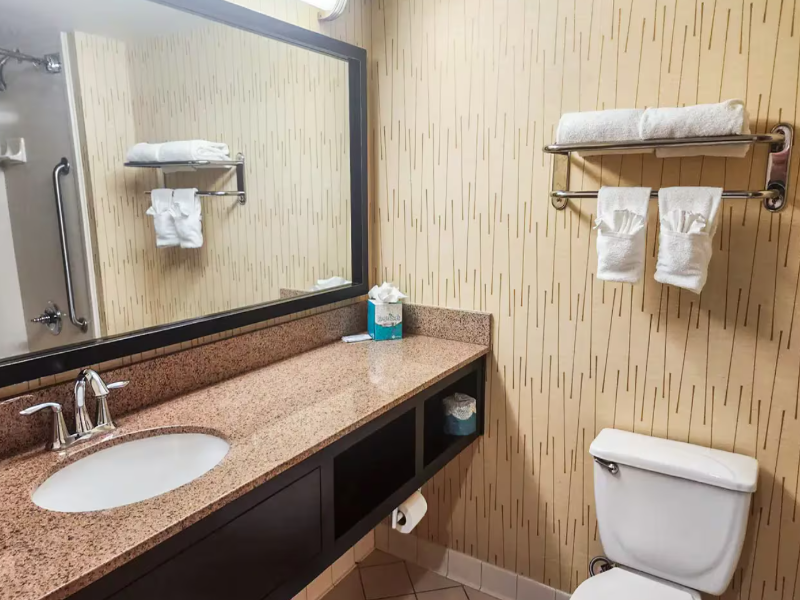 Country Inn & Suites By Radisson Tyler University image