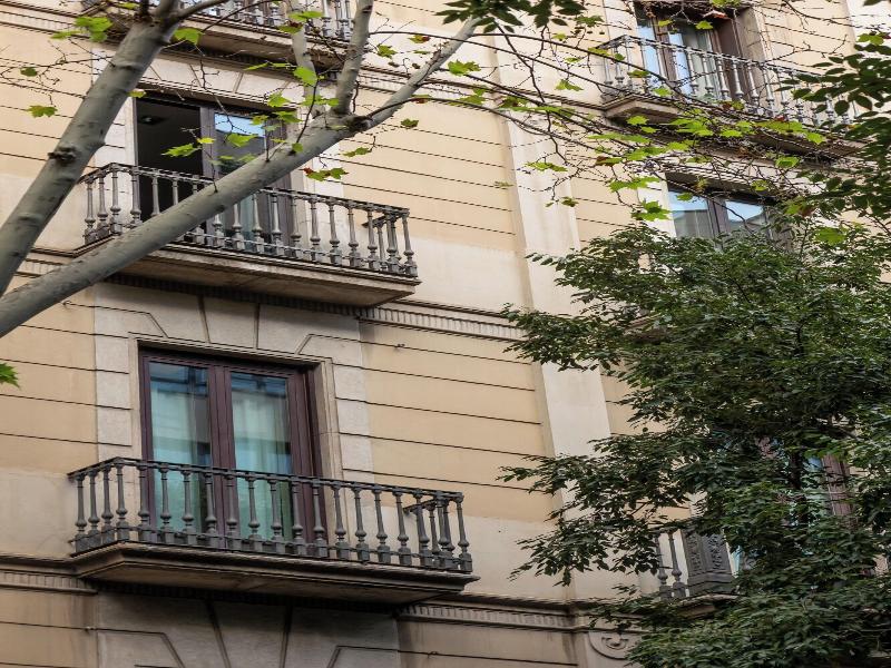 Colectia Stays Pau Claris image