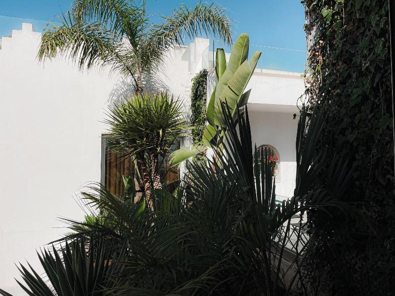 Riad Zyo image