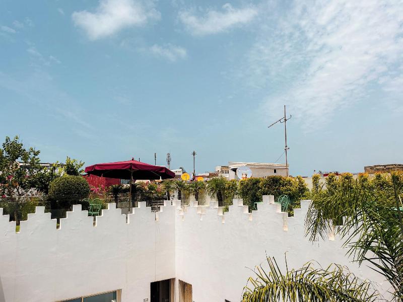 Riad Zyo image