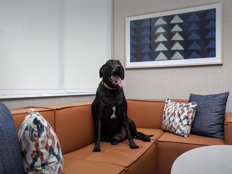 Homewood Suites By Hilton Portsmouth Downtown image