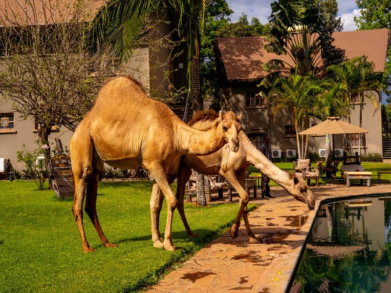 Weruweru River Lodge image