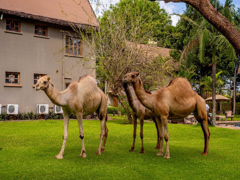 Weruweru River Lodge image