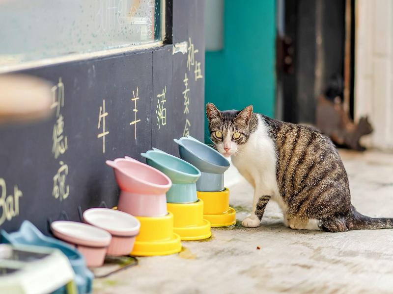 5 1 Homestay image
