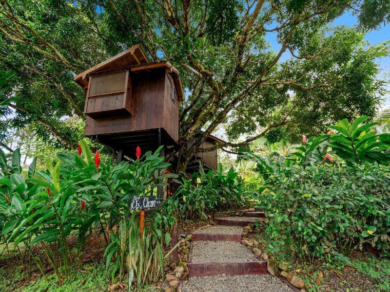 Central Hotel Bocas Del Toro image