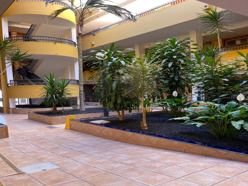 Colon II image