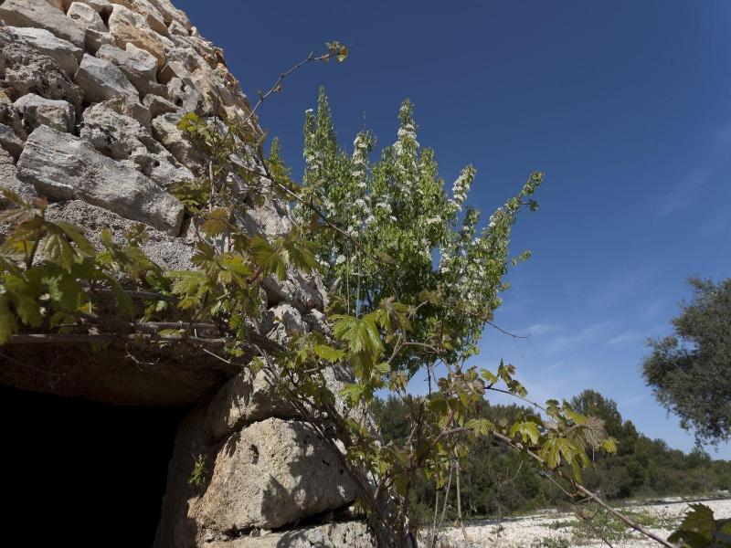 Borgo Del Sole Salento image