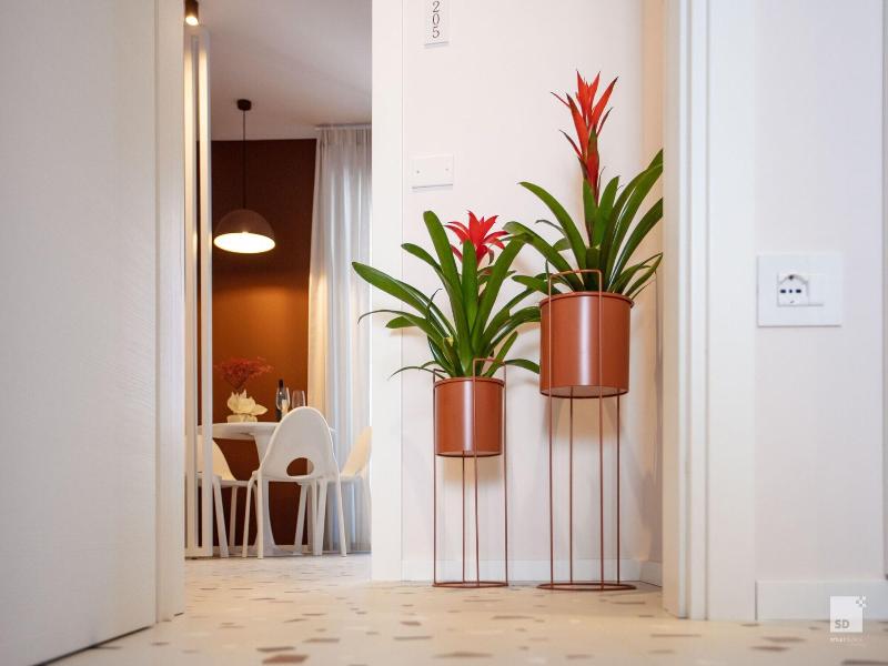 The Lady C High Apartments image