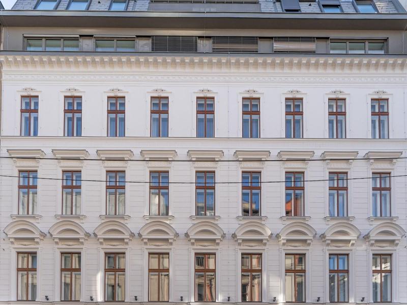 Numa Vienna Terra image