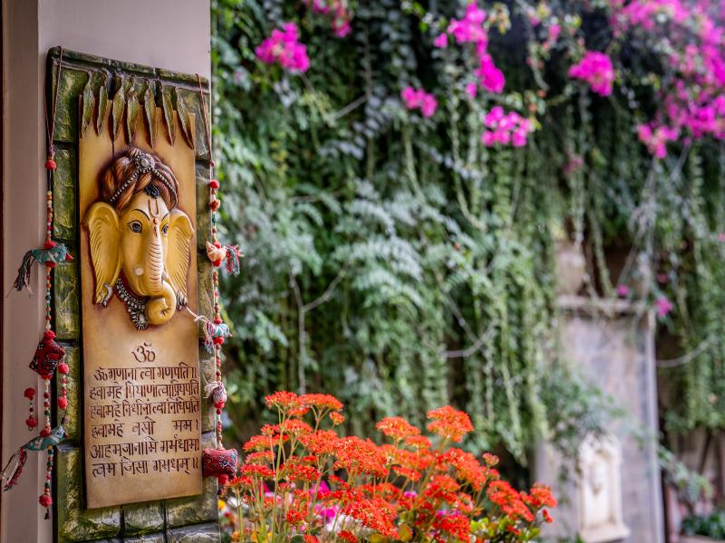 Dera Jaipur image