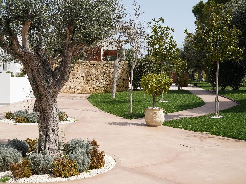 Tenuta San Marco — general view