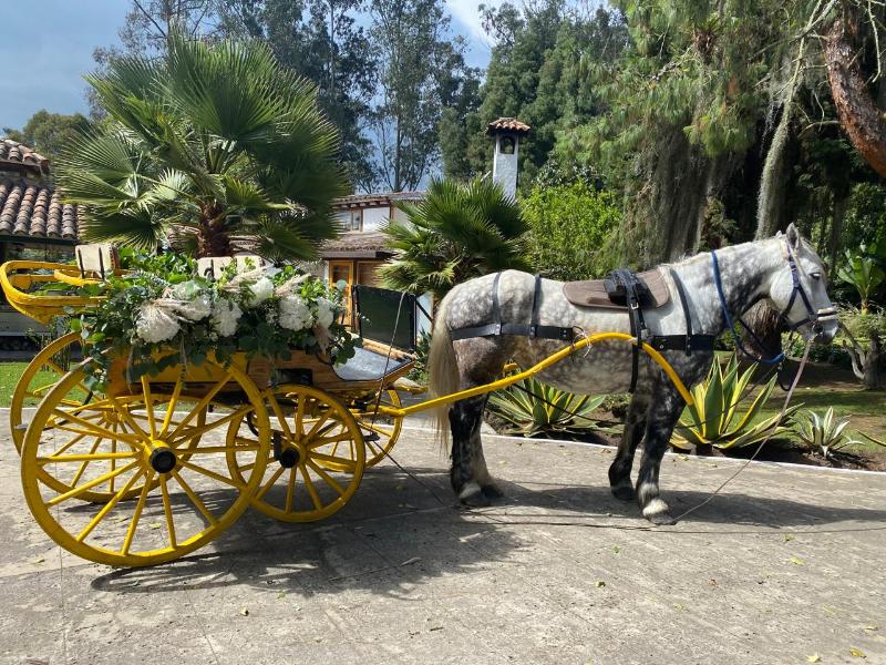 Hacienda La Armenia - Cottage Hotel