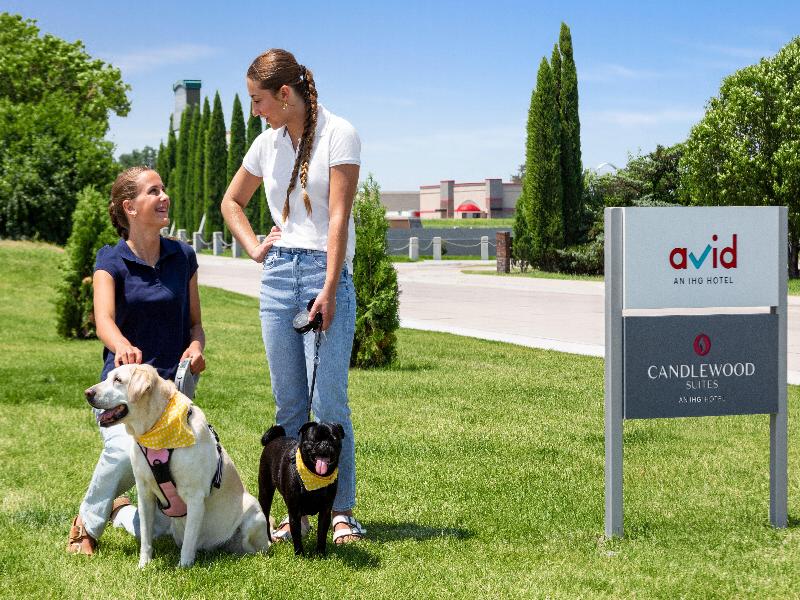 Candlewood Suites Mission East Mcallen Area by IHG image