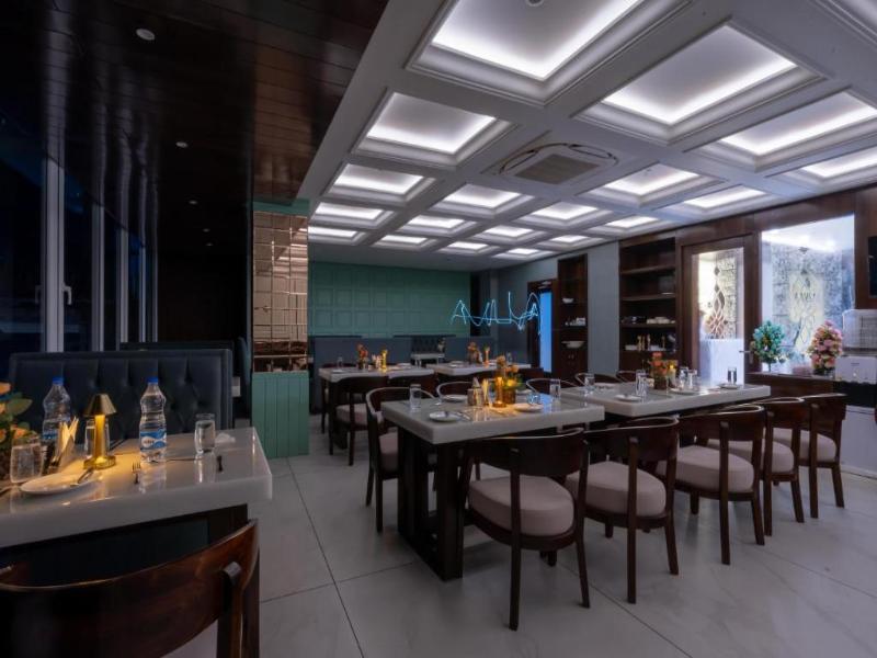 Alivaa Hotel, Mcleodganj with Best Dhauladhar View — general view