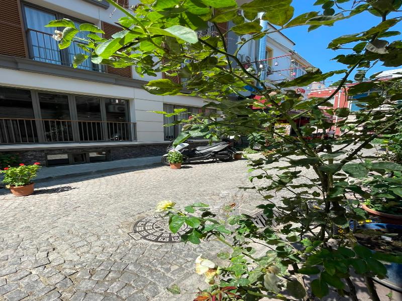 Hotel Lina Oldcity image