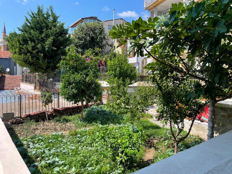 Hotel Lina Oldcity image