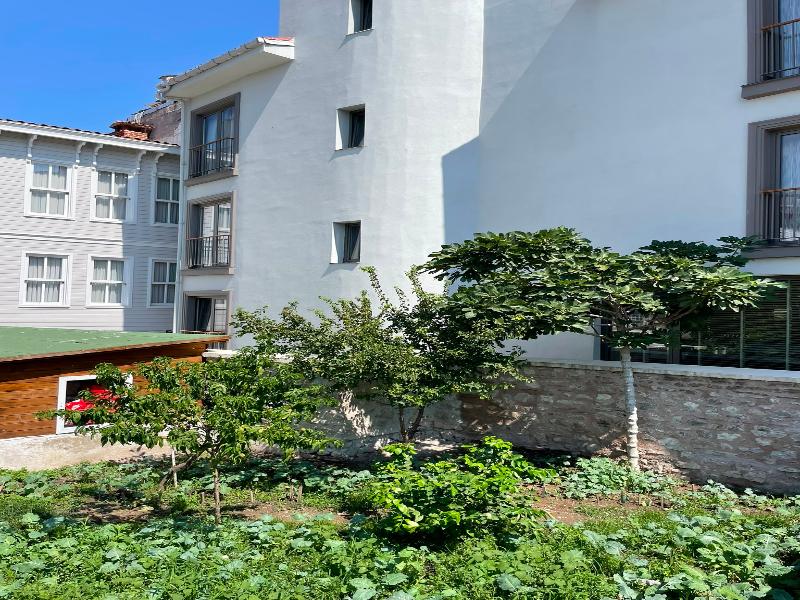 Hotel Lina Oldcity image