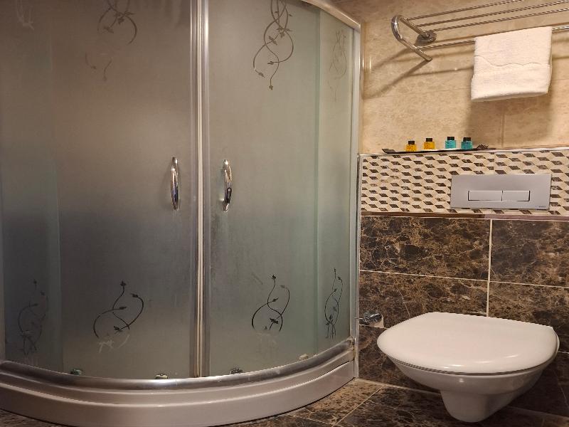 Borz Hotel image