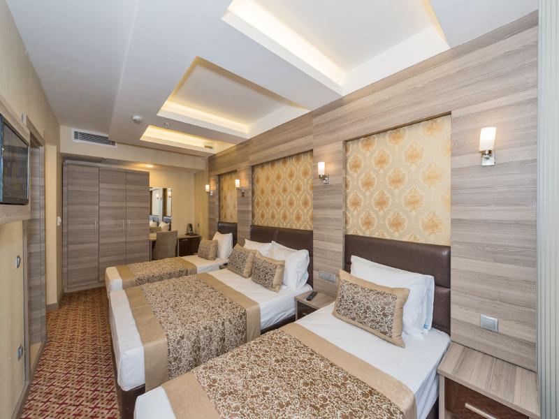 Borz Hotel image