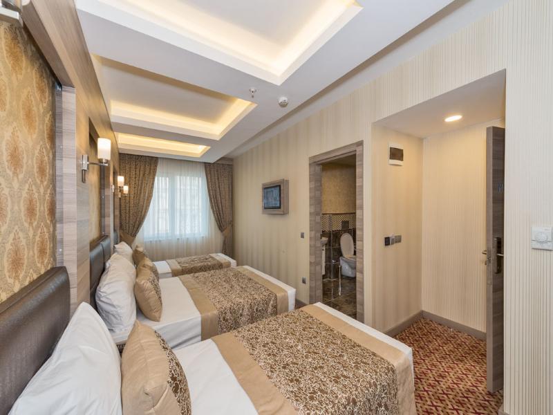 Borz Hotel image