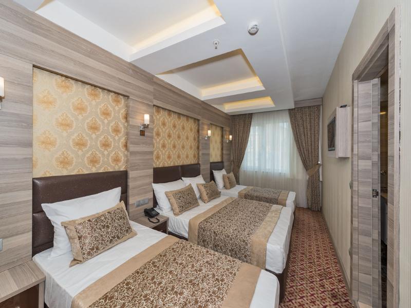 Borz Hotel image