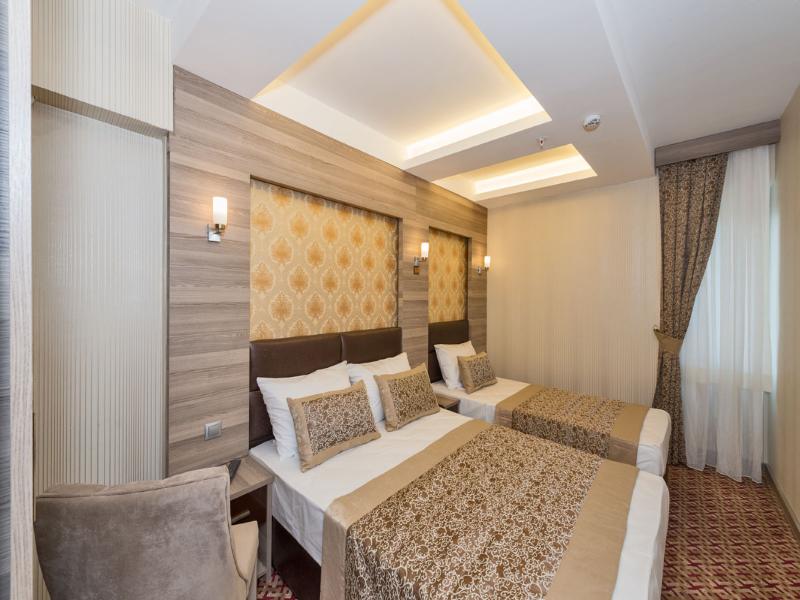 Borz Hotel image