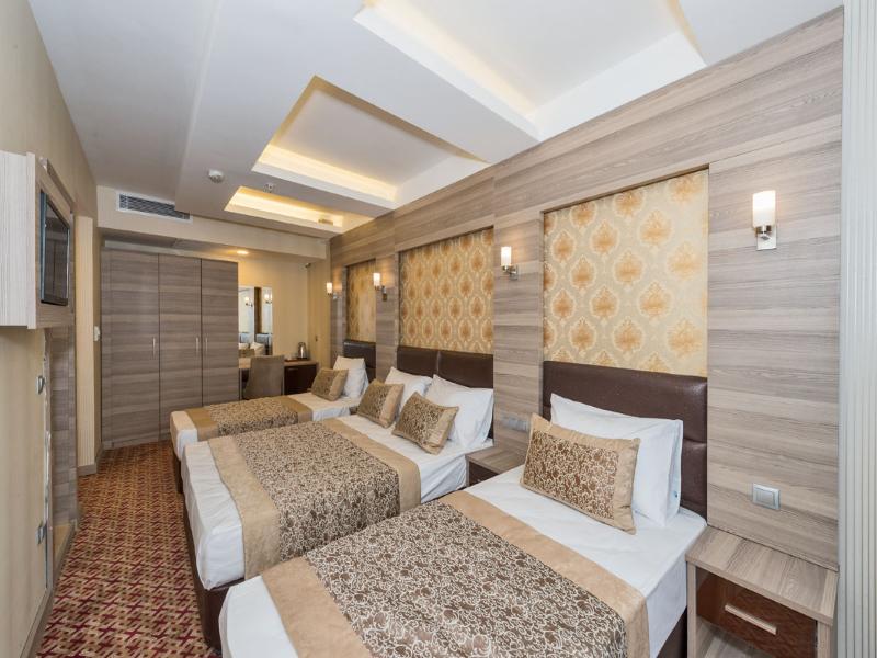 Borz Hotel image