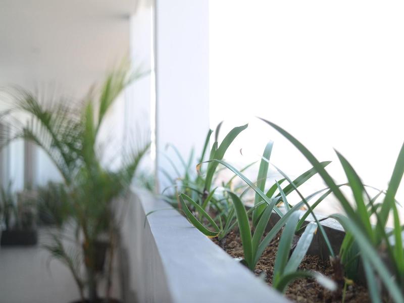 Sau Bali Beach House Canggu image