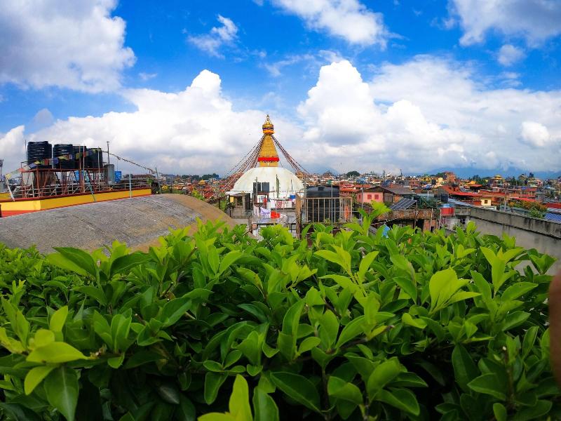 Hotel Bodhiz image