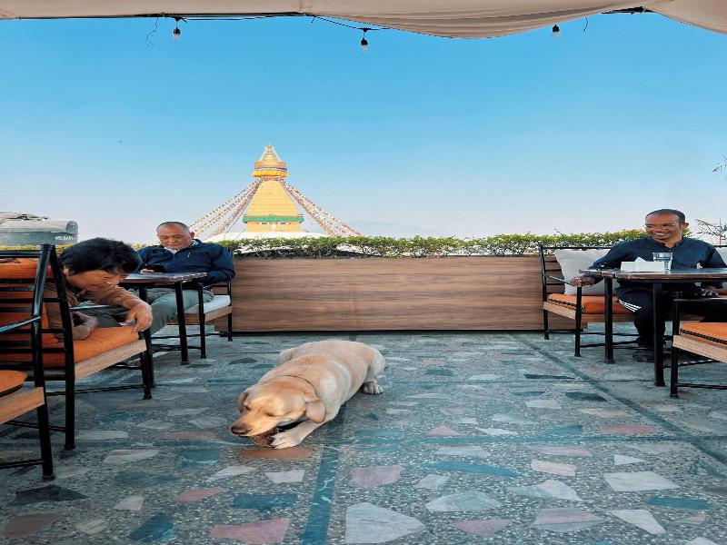 Hotel Bodhiz image